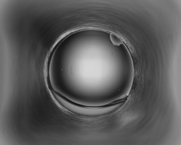 X0000087681523200705111250
