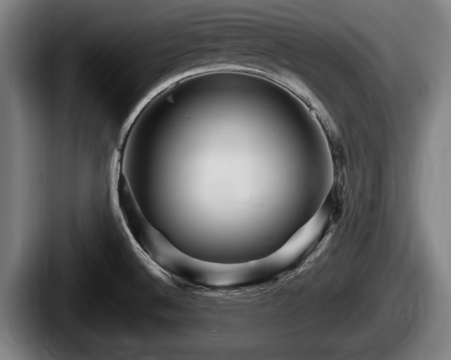 X0000087681524200705111250