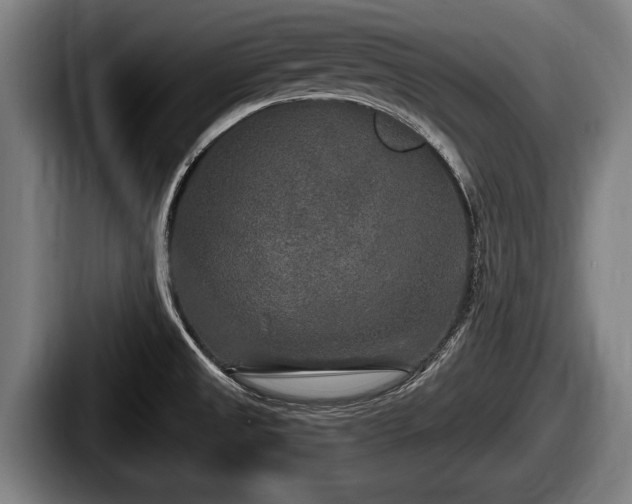 X0000087681525200705111250