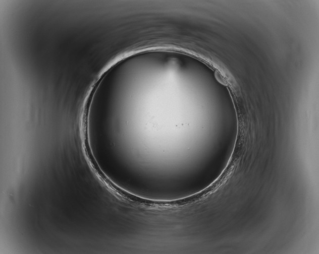 X0000087681526200705111250