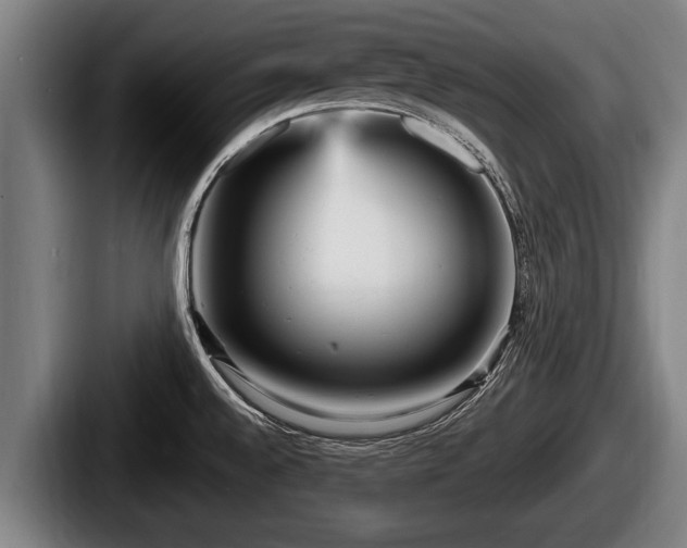 X0000087681528200705111250