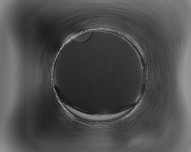 X0000087681529200705111250
