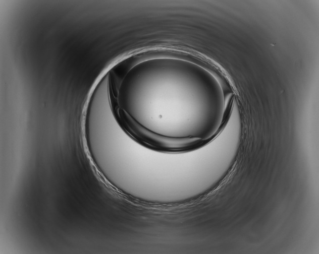 X0000087681530200705111250