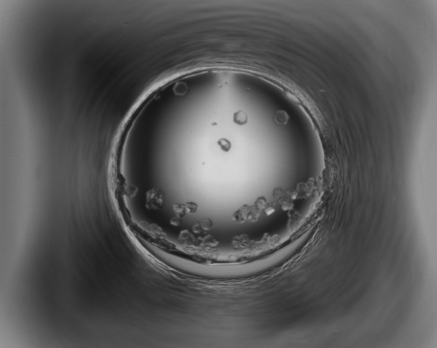 X0000087681531200705111250