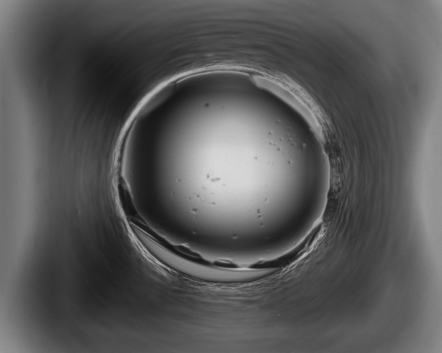 X0000087681532200705111250