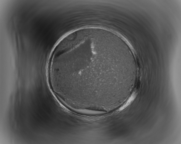 X0000087681533200705111250
