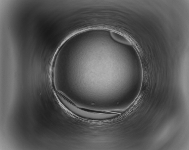 X0000087681535200705111250