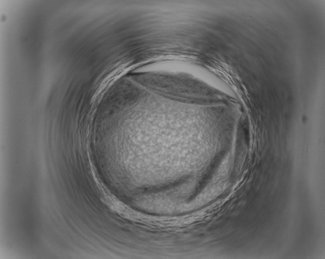 X0000087680001200705181741