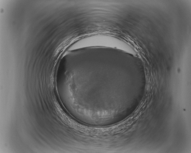 X0000087680002200705181741