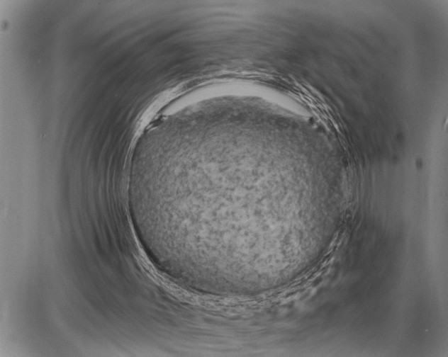 X0000087680003200705181741