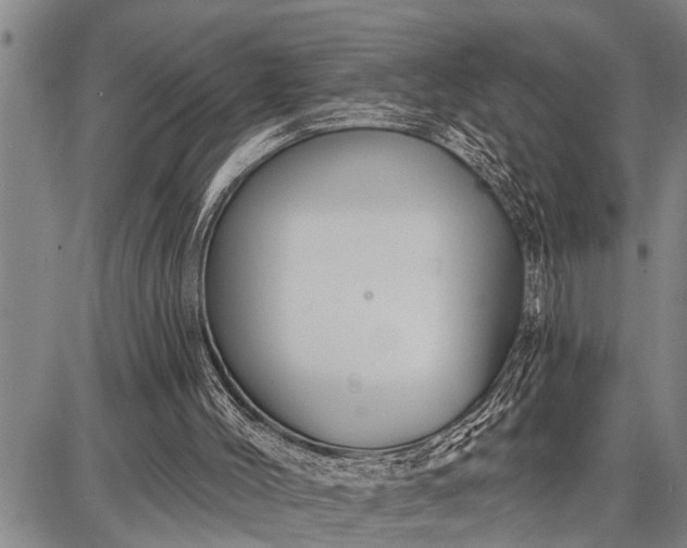 X0000087680004200705181741