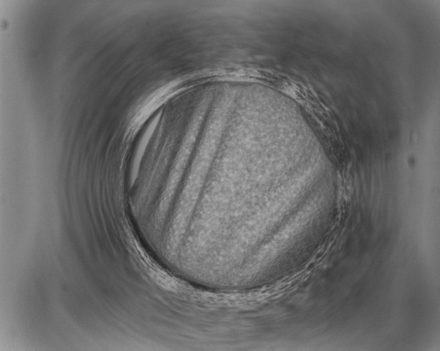 X0000087680005200705181741