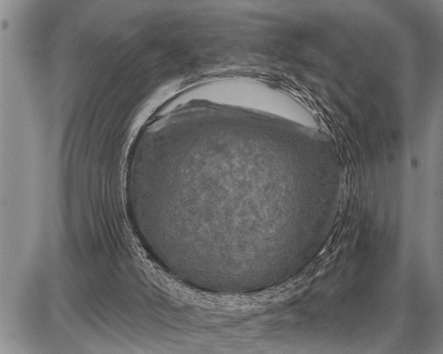 X0000087680006200705181741