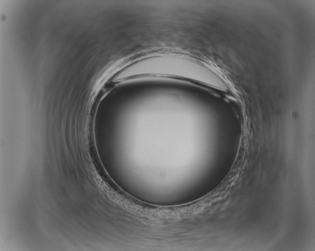 X0000087680007200705181741