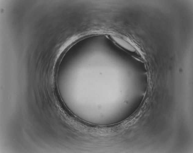 X0000087680008200705181741