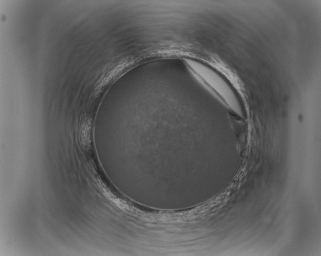 X0000087680009200705181741