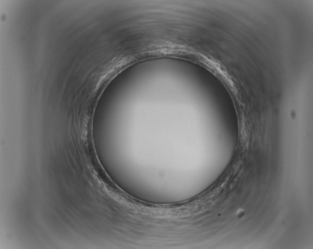 X0000087680010200705181741