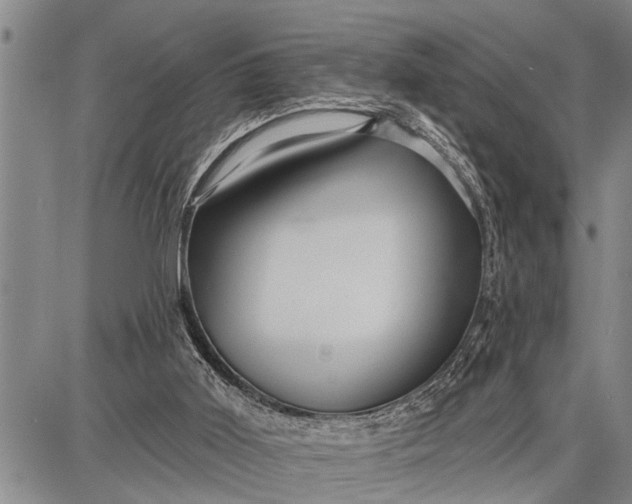 X0000087680011200705181741