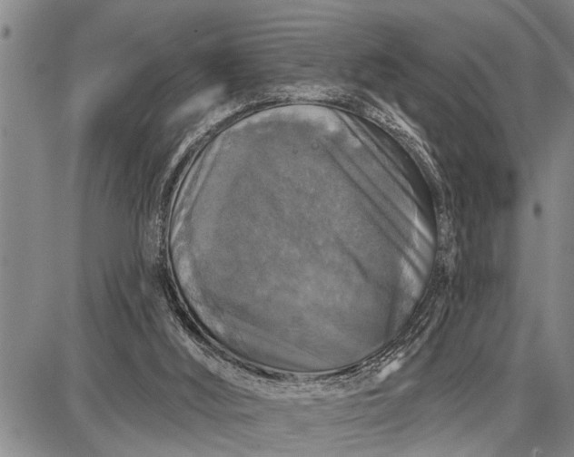 X0000087680012200705181741