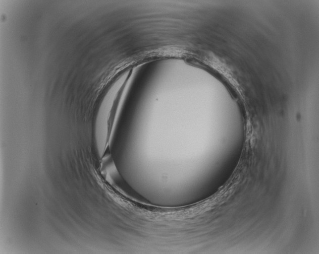 X0000087680013200705181741