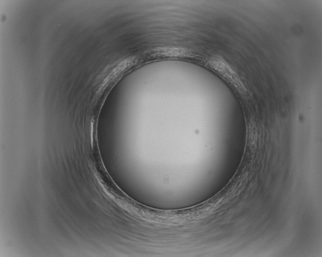 X0000087680014200705181741