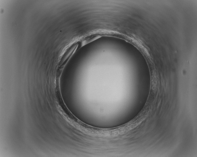 X0000087680015200705181741