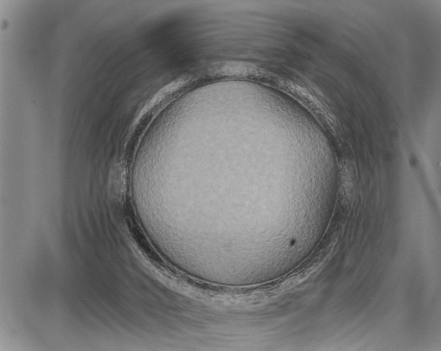 X0000087680016200705181741