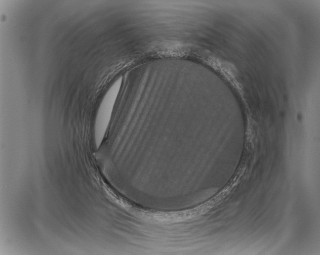 X0000087680017200705181741