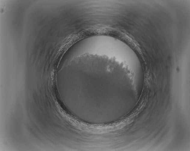 X0000087680018200705181741