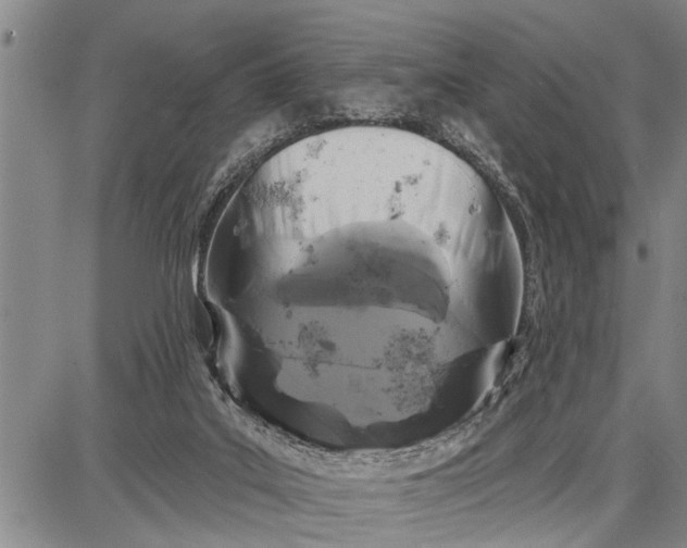 X0000087680019200705181741