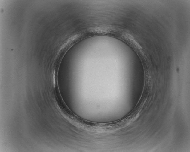 X0000087680020200705181741