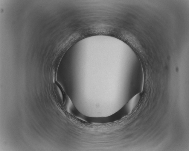 X0000087680021200705181741