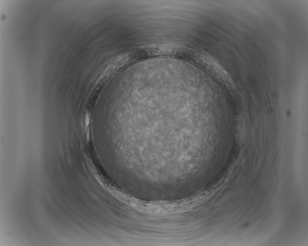 X0000087680022200705181741