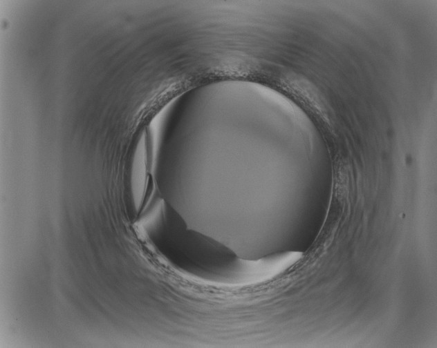 X0000087680023200705181741