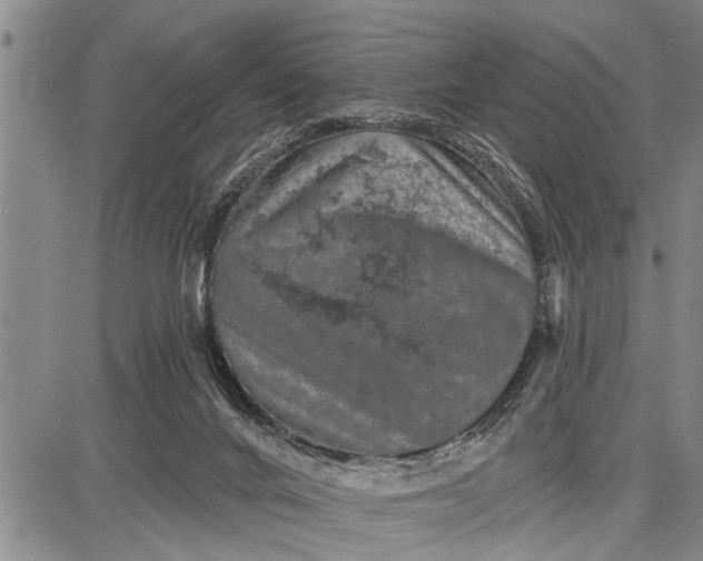 X0000087680024200705181741