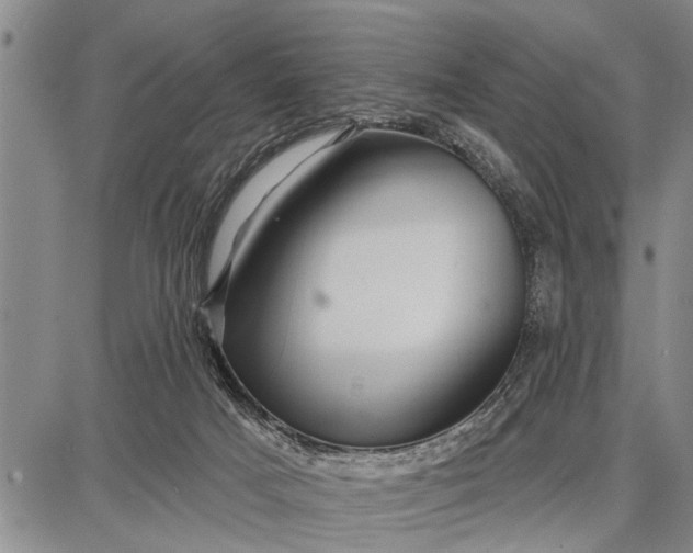 X0000087680025200705181741