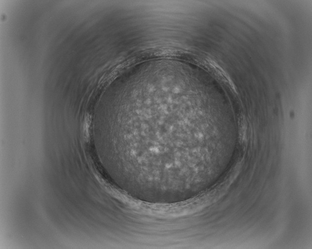 X0000087680026200705181741