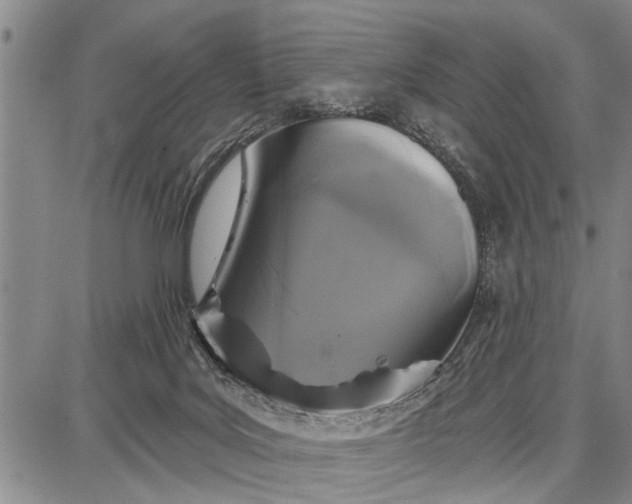 X0000087680027200705181741