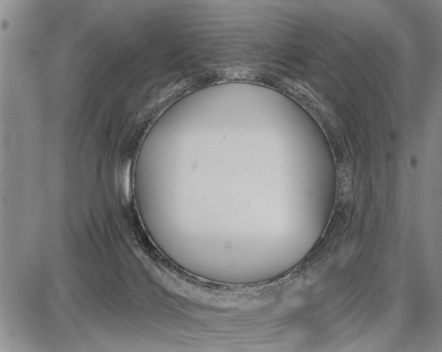 X0000087680028200705181741