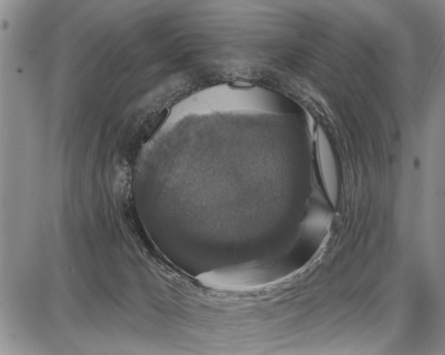 X0000087680029200705181741