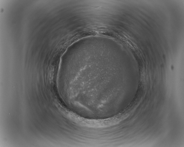 X0000087680030200705181741