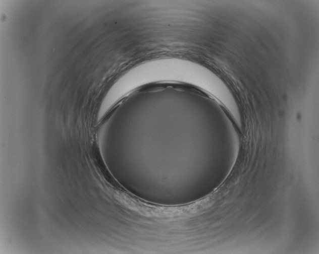 X0000087680031200705181741