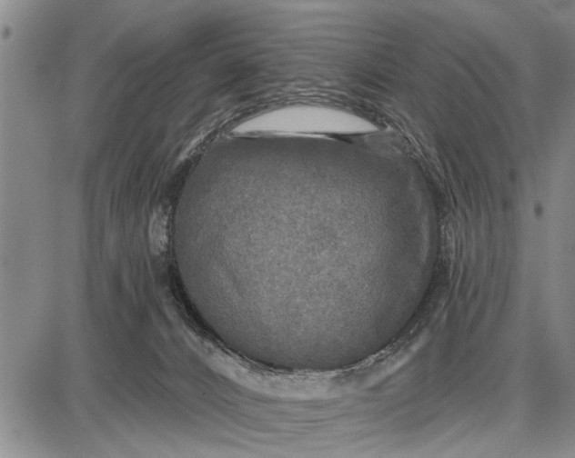 X0000087680032200705181741