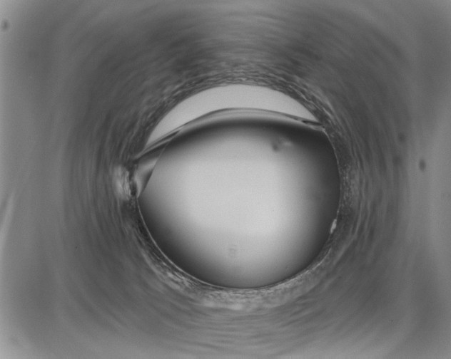 X0000087680033200705181741