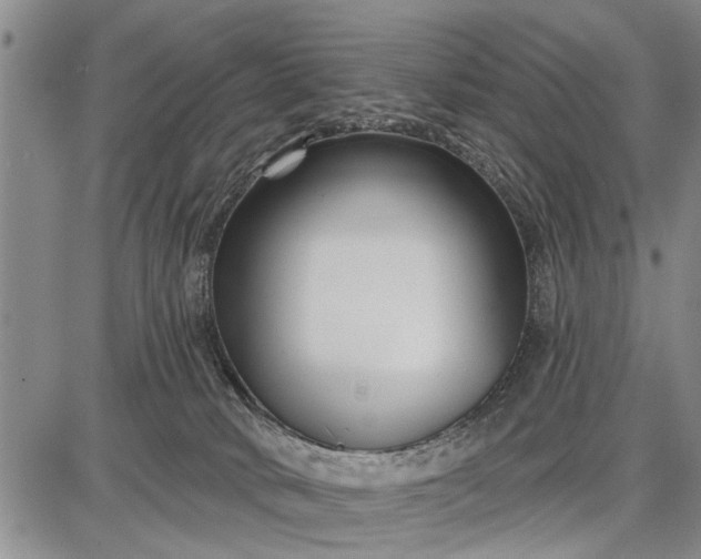 X0000087680034200705181741