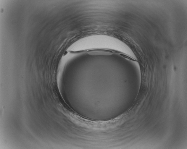 X0000087680035200705181741