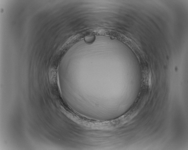 X0000087680036200705181741