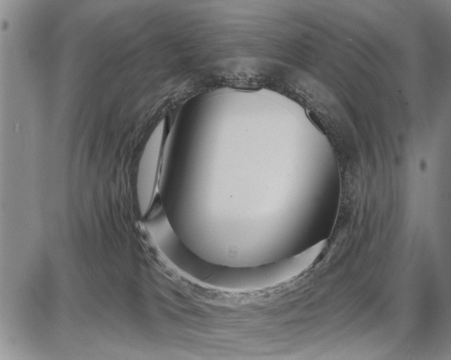 X0000087680037200705181741