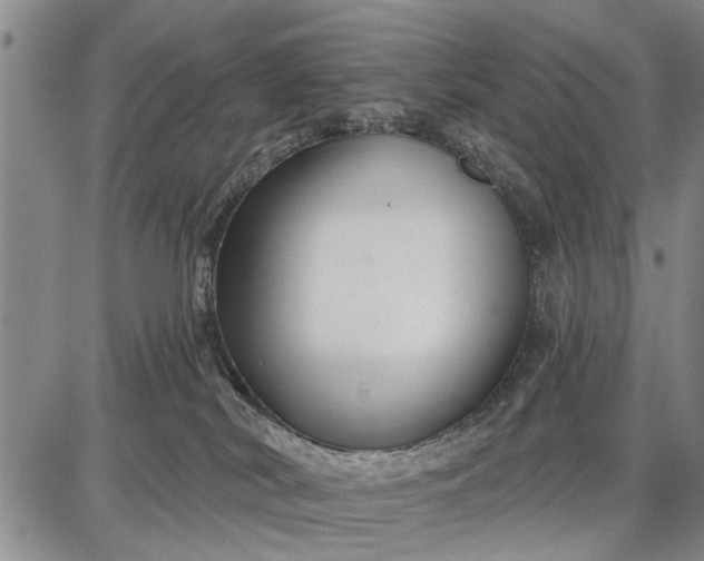 X0000087680038200705181741