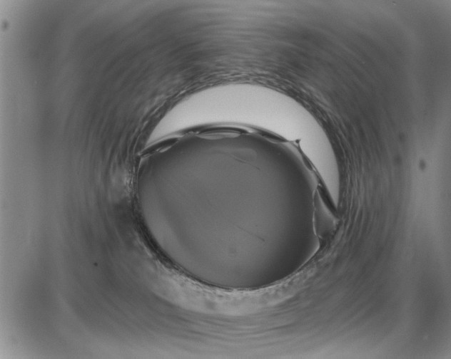 X0000087680039200705181741